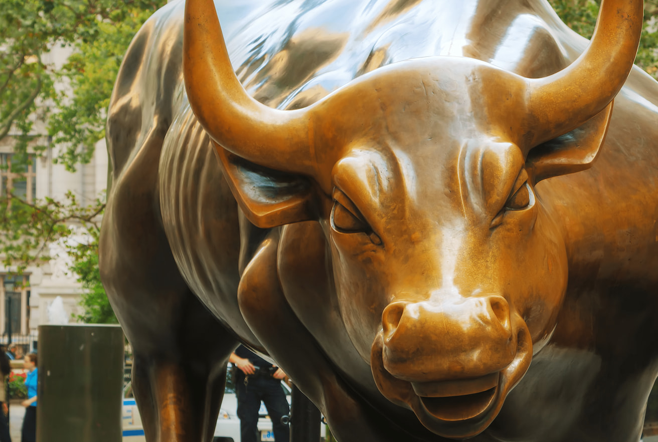 Charging Bull Sculpture Close-up shot