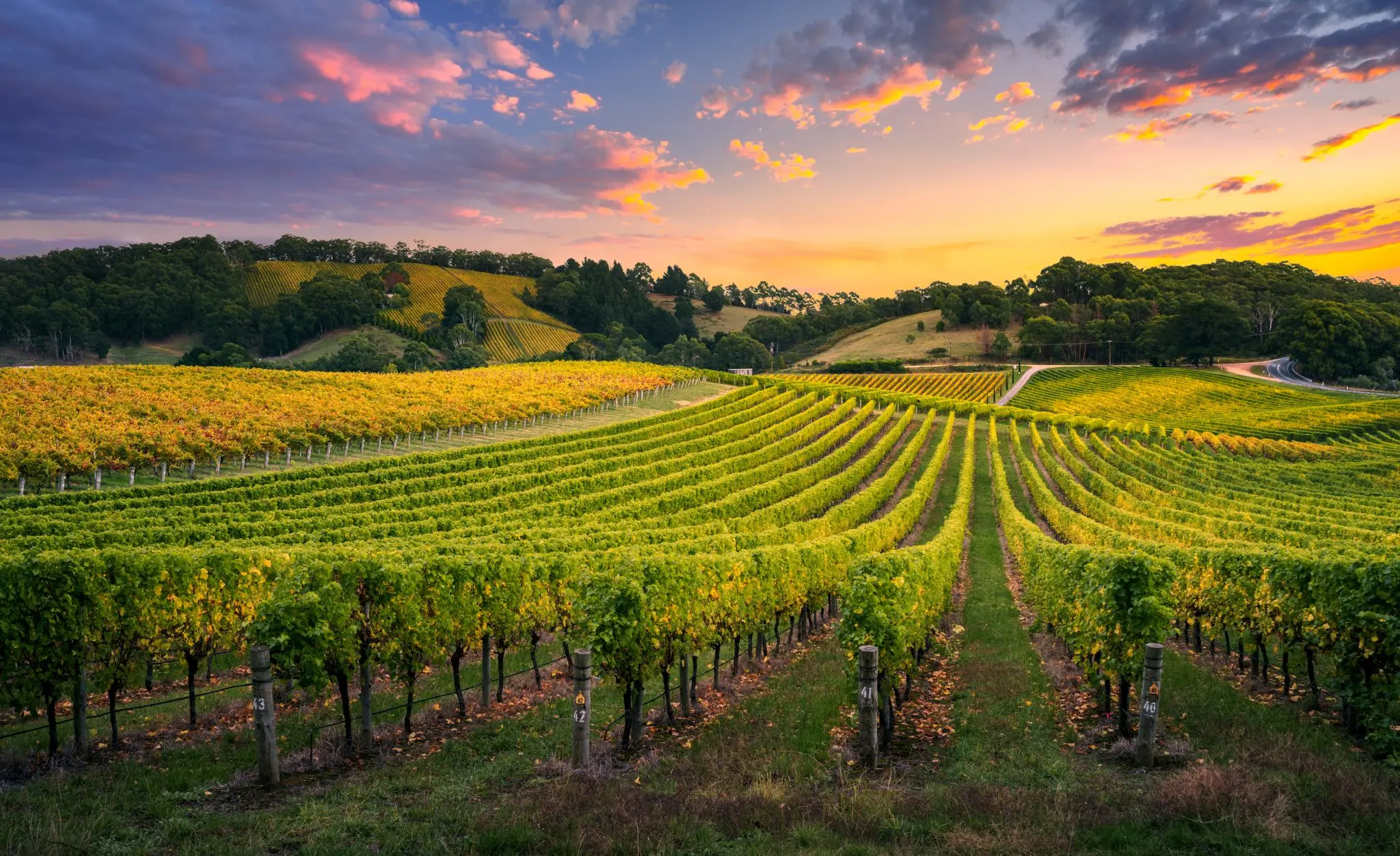 Decanting the 4 Secrets of International Growth for Wineries