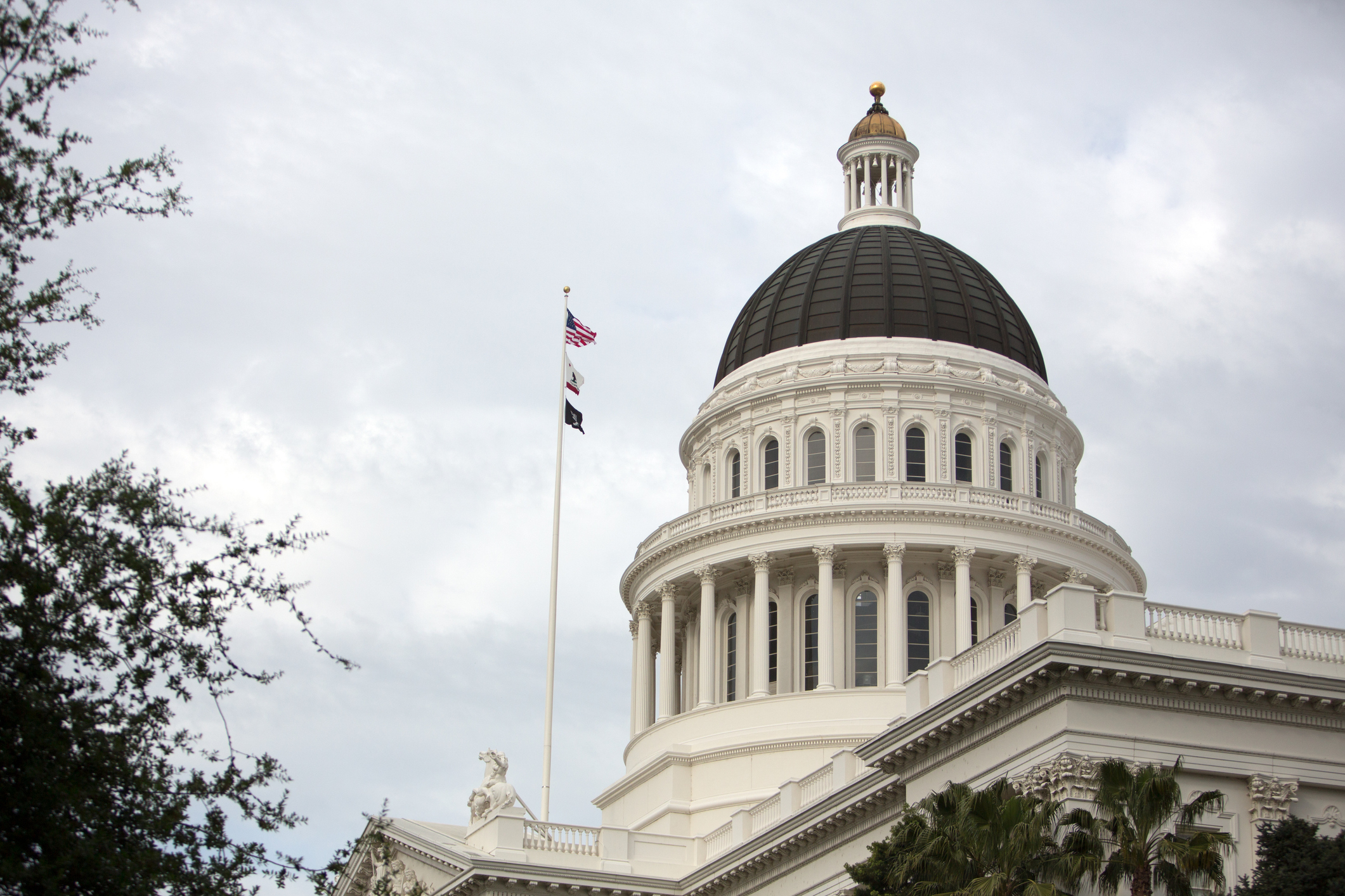 State and Local Government