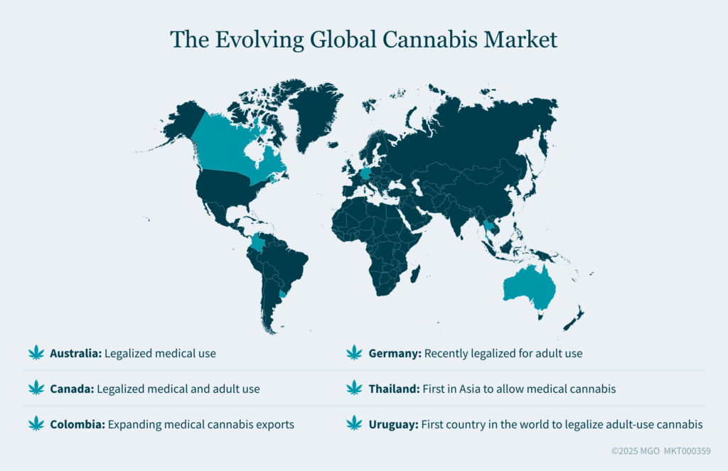 Graphic showing notable countries with some form of legalized cannabis