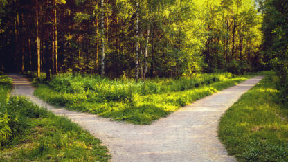 Divergence of directions. The wide path in the park is divided into two trails.