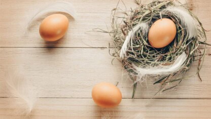 image of eggs